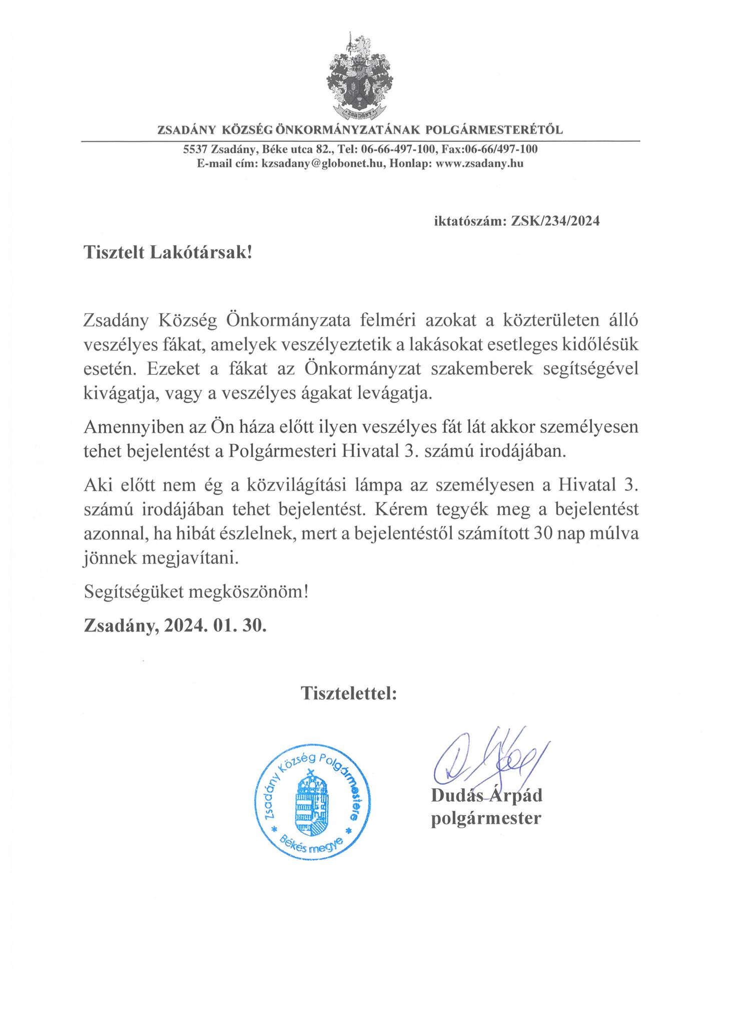 Veszélyes fa, közvilagitas